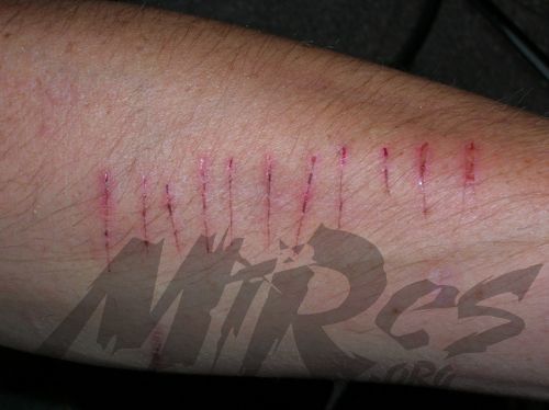 BODY ART.............. ANIMAL KORPS